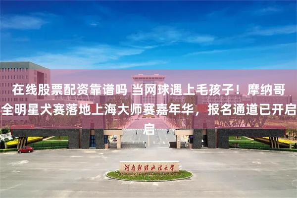 在线股票配资靠谱吗 当网球遇上毛孩子！摩纳哥全明星犬赛落地上海大师赛嘉年华，报名通道已开启