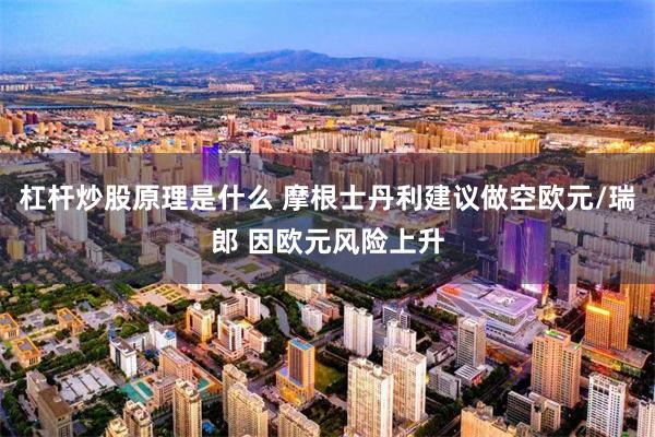 杠杆炒股原理是什么 摩根士丹利建议做空欧元/瑞郎 因欧元风险上升