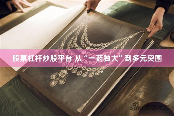 股票杠杆炒股平台 从“一药独大”到多元突围
